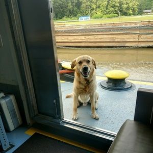 Meet your Posher, Tisha